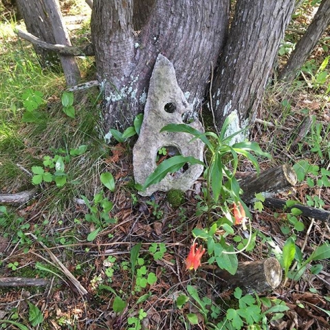 rock that looks like face leaning against tree