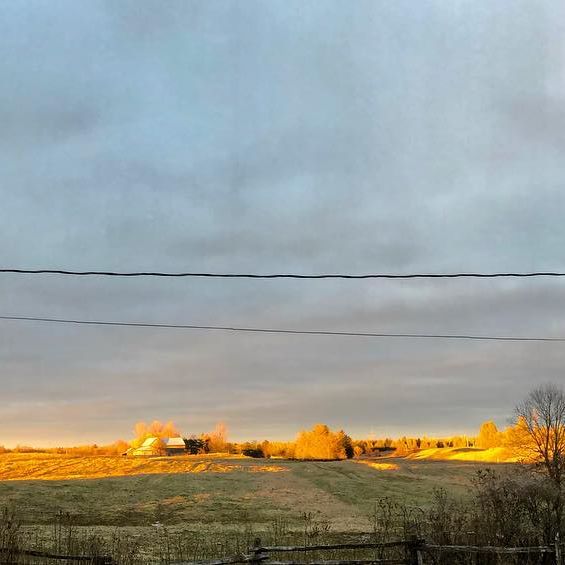 rural landscape at dusk