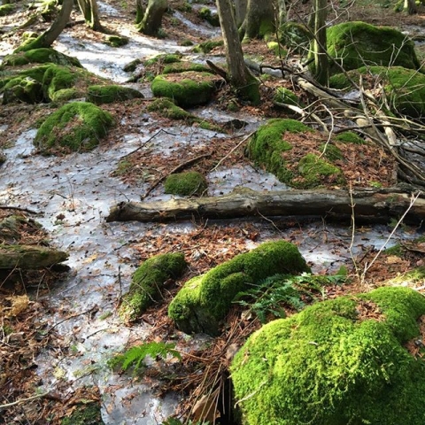 ice between mossy rocks