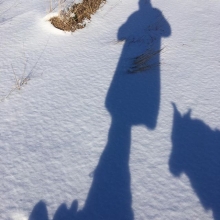 shadows on snow